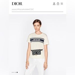 Dior Saddle Belt Pouch